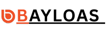 BAYLOAS LLC – Truck Dispatch, Factoring & Logistics Services